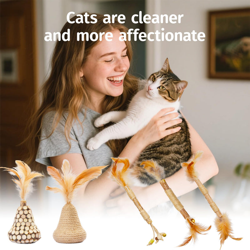 Silvervine Cat Feather Plush Mouse Toy - Natural Silvervine Catnip for Dental Health and Teething，Cat Kick Chew Stick for Indoor Use 5 Cat Feather Toys - PawsPlanet Australia