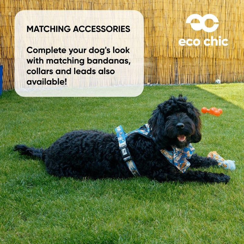 Eco Chic Recycled Comfort Pet Harness Adjustable No-Pull Reflective Padded Dog Vest Harness (4x4 Black Small)