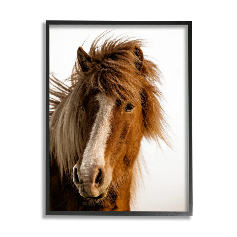 Stupell Industries Long Mane Horse Equestrian Portrait Brown Animal Photograph 16"L x 20"W White