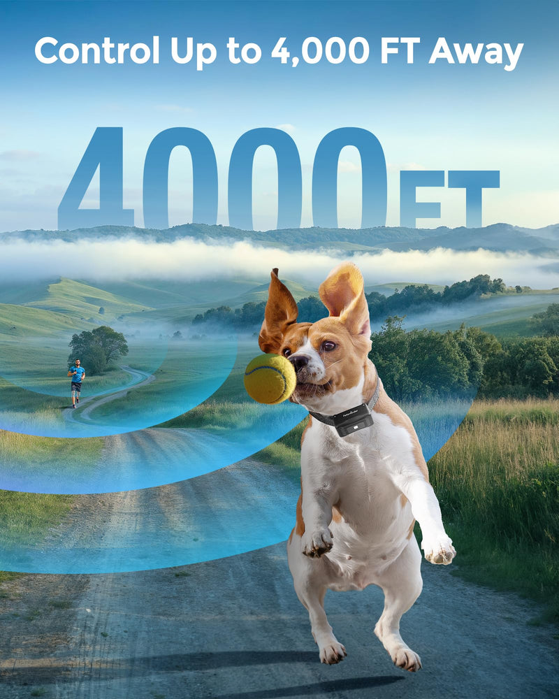 Dog Shock Collar, 4000FT Rechargeable Dog Training Collar with Remote IP67 Waterproof, Adjustable Beep/Vibration/Shock Modes, 5 Training Modes for All Breeds, Sizes (10-150lbs) for 1 dog - PawsPlanet Australia