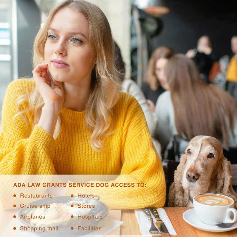 Service Dog Tag/ESA Animal Tag - Double Sided with Federal Protection & Red Medical Alert Symbol| Easily Attach to Collar, Harness, Vest | Service Dog Identification Tag Polished Stainless Steel Service Dog 1' - PawsPlanet Australia