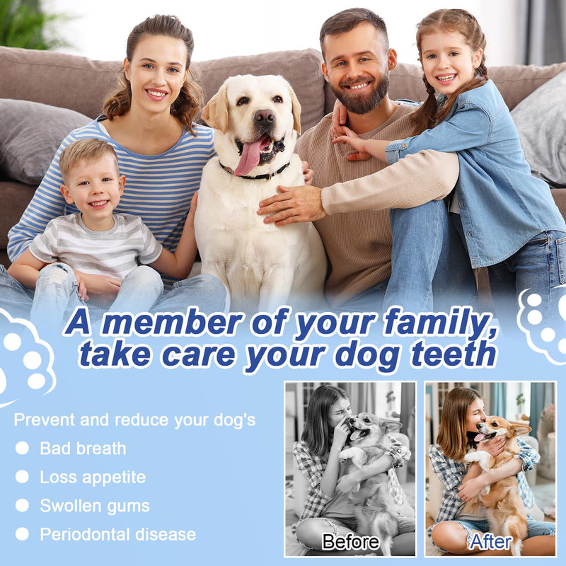 ETACCU Dog Plaque Remover for Teeth, Dog Plaque Remover Tool with LED Light, 5 Modes Teeth Cleaning Tools, Low Noise Pet Tooth Brushing Kit Dental Tools for Dog and Cat, White - PawsPlanet Australia