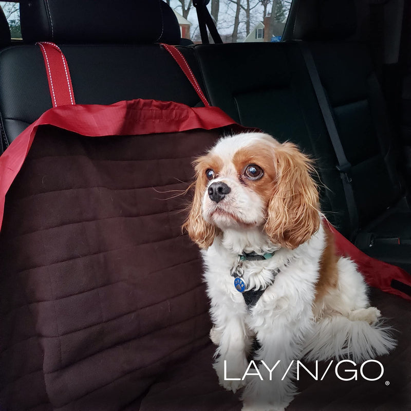 Lay-n-Go 3-in-1 Portable Large Dog Bed - Comfortable & Fleece-Lined w/Wide Strap, Zippered Pocket & More - Machine Washable, Foldable Dog Bed (44", Navy/Gray) - PawsPlanet Australia