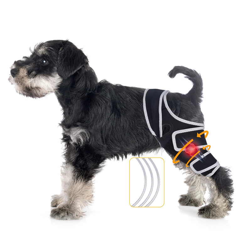 Adjustable Dog Knee Brace for Torn ACL and Ligament Injuries – Durable, Comfortable Support for Hind or Front Legs, Helps Recovery, Stabilizes Ligaments, and Enhances Daily Activity, S