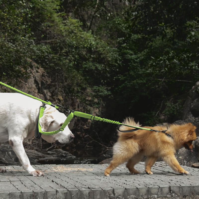Double Dog Leash for 2 Dogs, Dual Dog Leash 360° Swivel Tangle-Free Bungee, Shock Absorbing Walking Training Leashes, Reflective, for Two Dogs (Neon Green) Neon Green