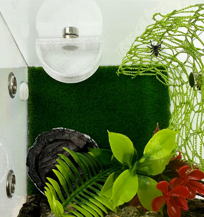 3 PCS Jumping Spider Feeding Dish, Tiny Food Dishes Water Dish for Jumping Spider, Tarantula and Other Small Pets, Half Round - PawsPlanet Australia