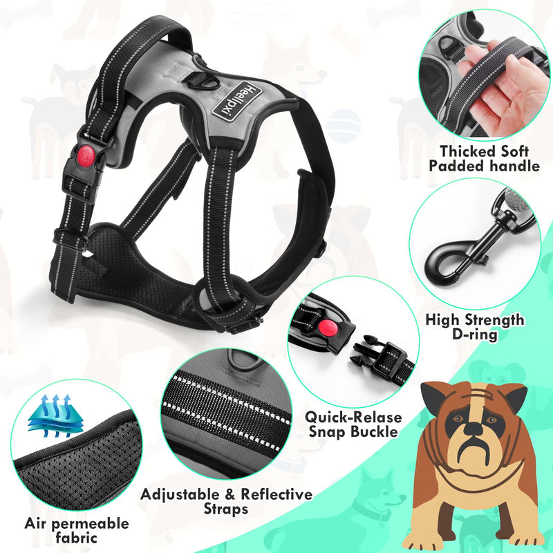 No Pull Dog Harness with A Free Heavy Duty 5FT Dog Leash, Adjustable Soft Padded Dog Vest with Easy-Control Handle, Reflective No-Choke Pet Oxford Vest for Medium Dogs (Grey,M) Grey - PawsPlanet Australia