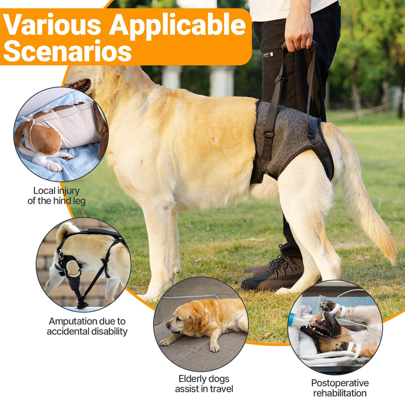 Dog Lifting Harness for Back Legs, Dog Support Harness, Adjustable Walking Aid, Hind Leg Brace for Injured, Elderly Dogs (Dark grey, M) Dark grey