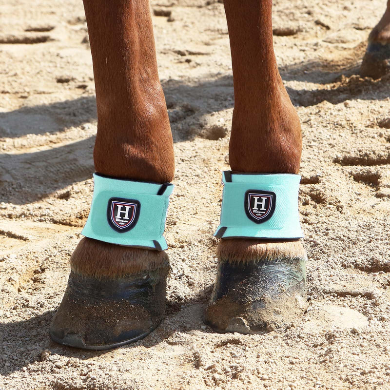 Harrison Howard Durable Shock-Absorbent Breathable Impact Protection Pastern Wraps for Horse Sold in Pairs Summer Mint Turquoise - PawsPlanet Australia