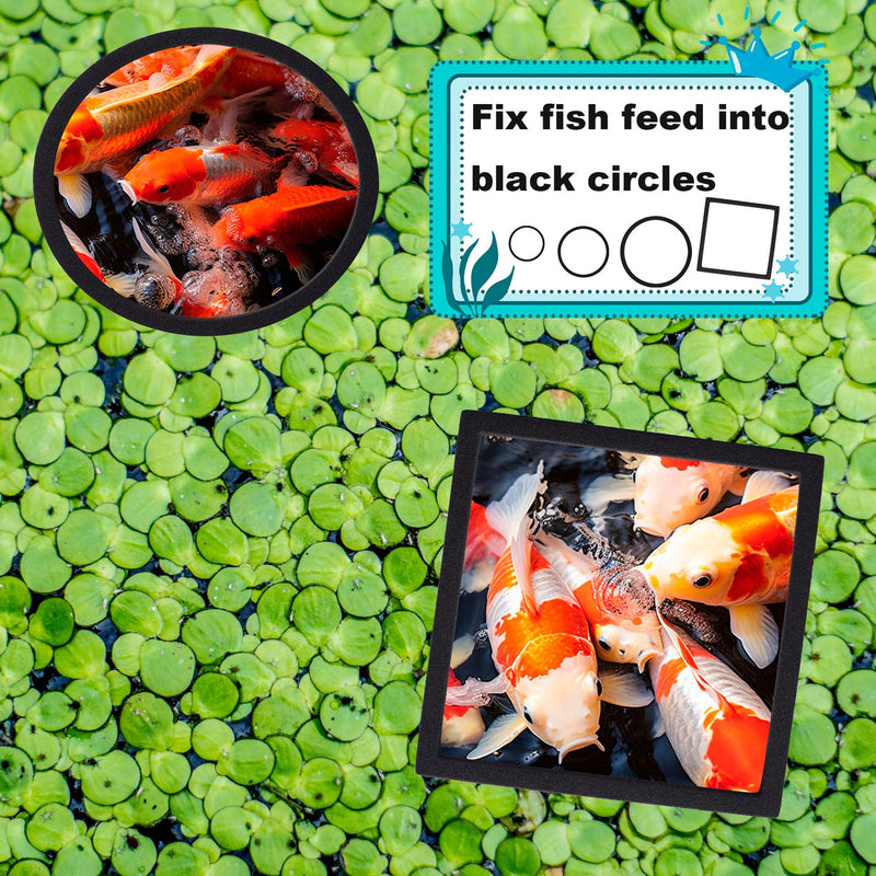 OIIKI 10 PCS Fish Feeding Rings Sets, Floating Aquarium Plant Corral, Floating Plant Rings, Oval and Square Fish Feeding Rings, Fish Tank Aquarium Accessories for Fish Tank, Floating Plants - Black black-oval,square - PawsPlanet Australia