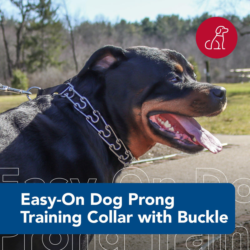 Coastal Pet Titan Easy-On Dog Prong Training Collar with Buckle - Durable Metal Training Collar for Dogs with Side Release Buckle - Black, 2 mm x 14" Small (Pack of 1) - PawsPlanet Australia