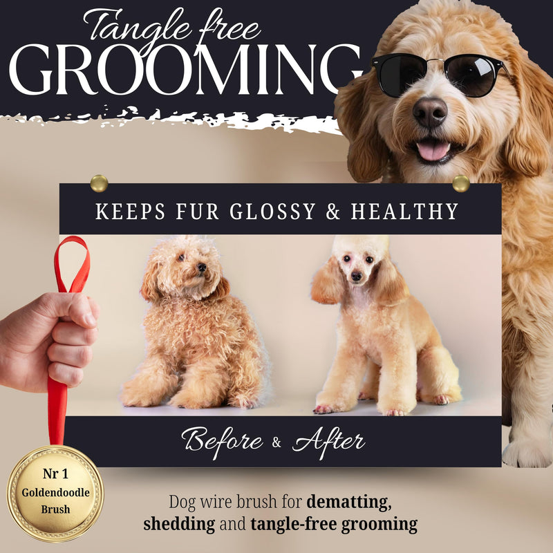 Dog Slicker Brush - Large - Protective Ball Tipped Pins Massages Pet Skin - Professional Groomer Dog Brush for Goldendoodle - Golden Retriever Brush (Large Size) 8 Inch x 4.8 - PawsPlanet Australia