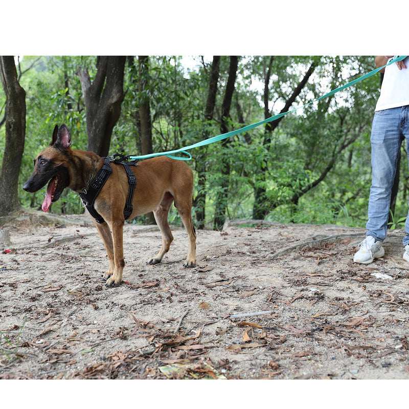 ICEFANG Relfective Dog Leash for Medium Large Dogs,K9 Training Walking Lead with Double Handle,Heavy Duty Auto-Lock Metal Clasp (6ft, Teal) 6 ft (No bungee) - PawsPlanet Australia
