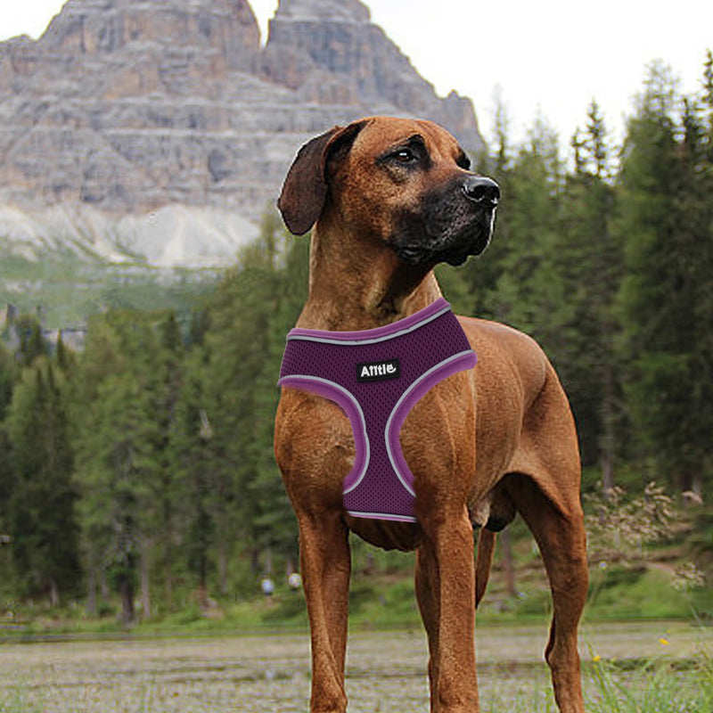 AIITLE Small Dog Harness, Triple-Layer Breathable Mesh, Adjustable Fit & Reflective Design, Choke-Free Over-The-Head Vest for Indoor/Outdoor Use, Perfect for Maltese, Chihuahua (S, Purple) S - PawsPlanet Australia
