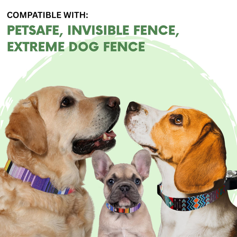 ECollar Replacement Strap, Pet Safe Collars Replacement, Shock Collar Replacement Collar, Invisible Fence Collar Replacement, Compatible with Pet Safe, Invisible Fence (Bright Blue, 3/4") 3/4" Bright Blue - PawsPlanet Australia