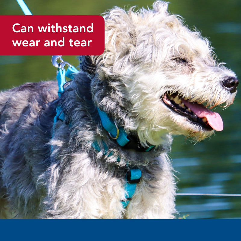 Coastal Pet - New Earth Soy - Adjustable Dog Collar, Indigo, 3/8" x 06"-08" 3/8" x 06"-08" (Pack of 1) - PawsPlanet Australia