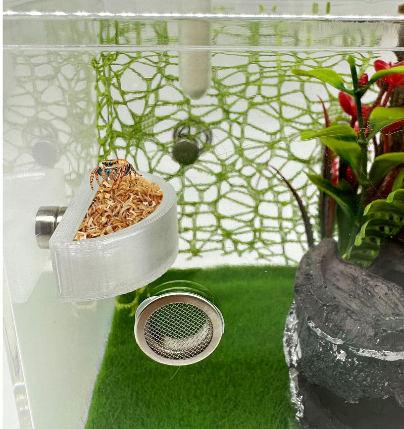 3 PCS Jumping Spider Feeding Dish, Tiny Food Dishes Water Dish for Jumping Spider, Tarantula and Other Small Pets, Half Round - PawsPlanet Australia