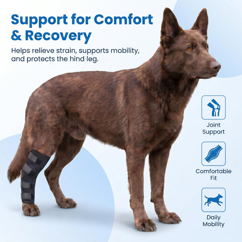 Dog Knee Braces for Back Leg, Dog Leg Brace Back Leg Support, Dog ACL Brace Hind Leg, Dog Knee Brace for ACL Tear Back Leg, Hip Dysplasia Brace, Hind Leg Support for Senior Dogs (Black, S) Black