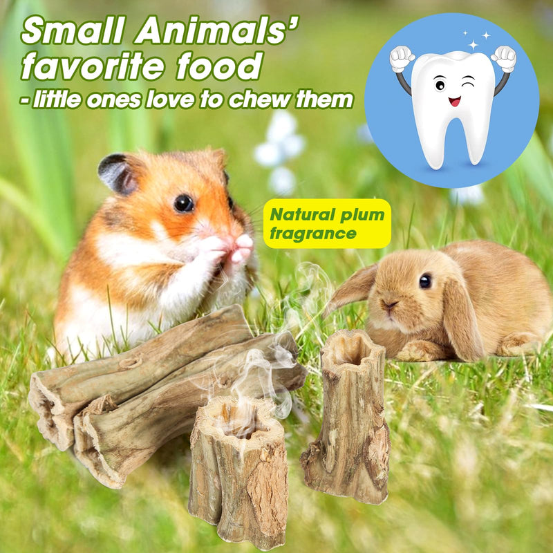 rabbit chew toys for bunnies,4 Pcs Natural Papaya Wood Chew Sticks bunny chews for teeth Chinchilla Guinea Pig Hamster Gerbil degu Small Animals to keep busy Molar Treats Toys Medium