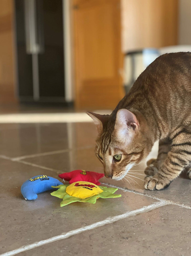 YEOWWW Rainbow Cat Toy Purple 3 Count (Pack of 1) - PawsPlanet Australia