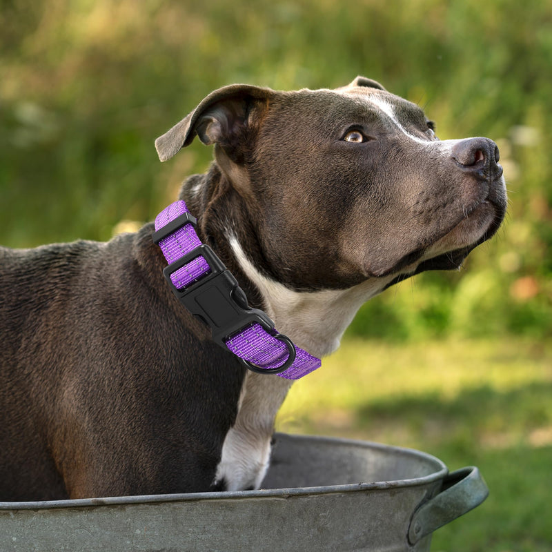 Mile High Life Night Reflective Double Adjustable Band Nylon Small Puppy Pet Dog Combo Collar Leash and Harness Set (Reflective Solid Purple, Large (Pack of 3)) Large (Pack of 3) Reflective Solid Purple - PawsPlanet Australia
