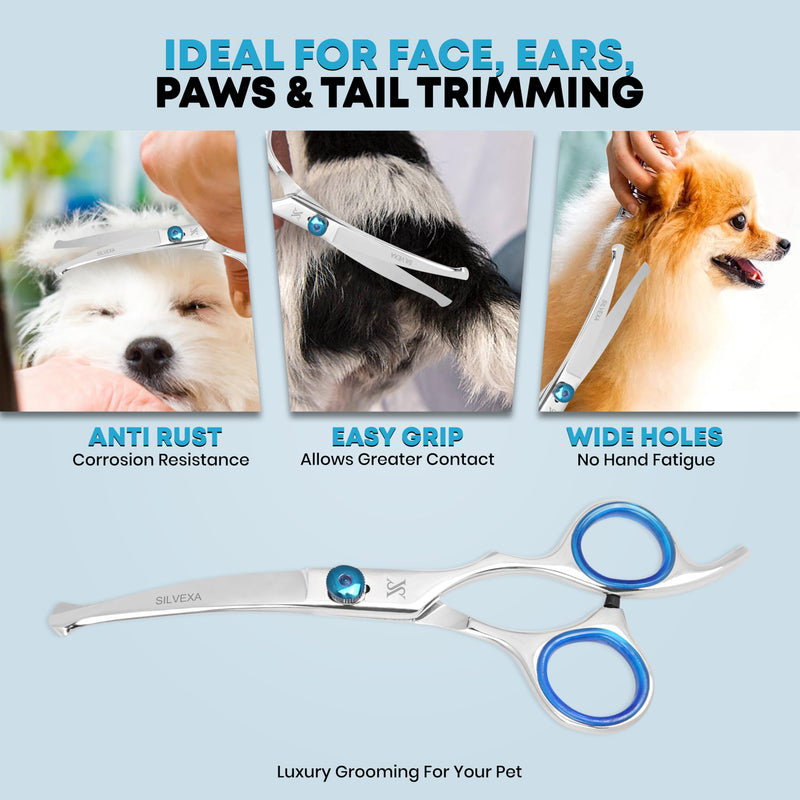 6.5” Curved Pet Grooming Scissors – Professional Dog Hair Cutting Shears with Blue Adjustable Tension Screw & Comfort Grip – Ideal for Face, Ears, Paws & Finishing - PawsPlanet Australia
