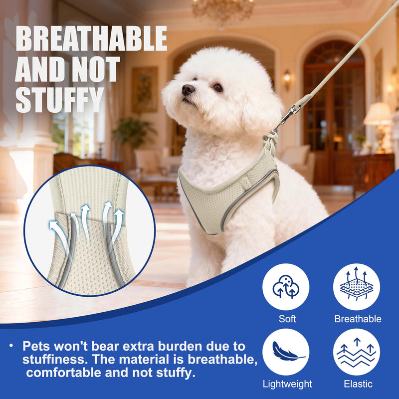 Harness and Leash for Cat or Puppy - Adjustable Set in Soft Nylon, Secure Comfort for Walking, Training, Outdoor, Small Animals, Easy to Put On and Take Off, Beige, S - PawsPlanet Australia