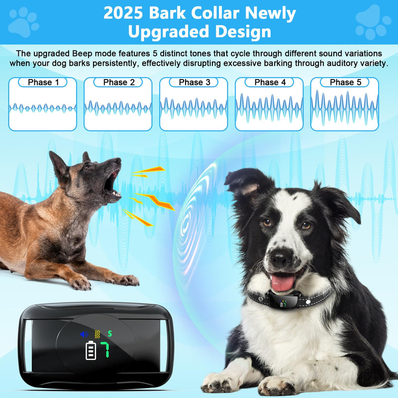 2 Pack No Shock Bark Collar for Large & Medium Dogs - Safe & Humane Dog Bark Collar with Beep & Vibration, 7 Adjustable Sensitivity Levels, 100% IPX7 Waterproof Dog Training Collar (Black Green) Black Green - PawsPlanet Australia