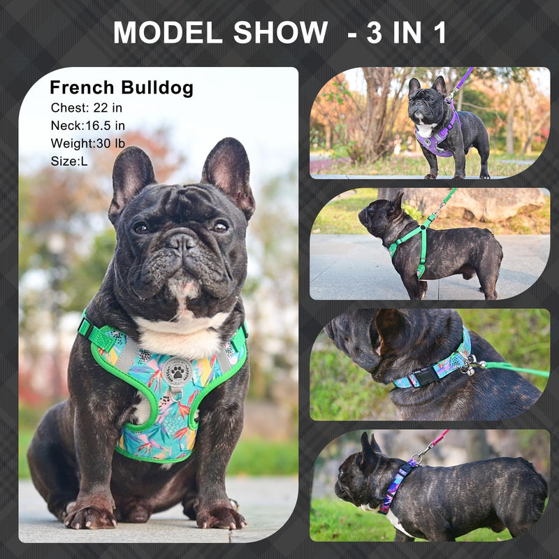BEAUTYZOO Dog Harness Collar and Leash Set, No-Pull Step in Dog Harness for Large Dogs, Reflective No-Choke Puppy Vest Harness, Adjustable Soft Padded Pet Vest for French Bulldog, Dark Pink L L (Chest 20"-25", Collar 14"-20") Colorful Splatter Paint - PawsPlanet Australia