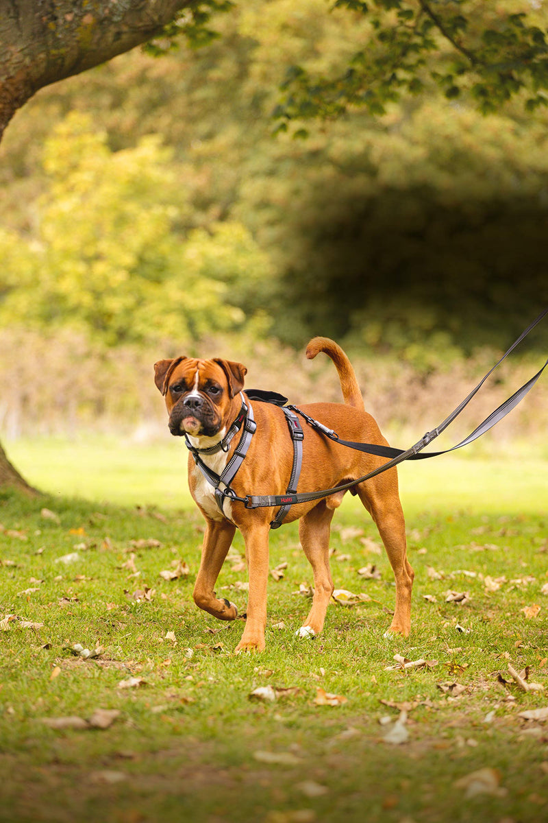 HALTI Double-Ended Leash for Dogs - Neoprene-Padded, Easy to Use, Reflective, Adjustable Lengths, Ideal Dog Leash for Hands Free Running & Training. Suitable for Small Dogs and Puppies (Size S, Black) - PawsPlanet Australia