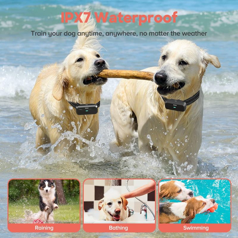Dog Training Collar for 2 Dogs: Remote Control with 1600Ft Range Waterproof Shock Collar with Adjustable Beep Vibration and Shock Modes Control Security Keypad Lock for Small Medium Large Dogs - PawsPlanet Australia