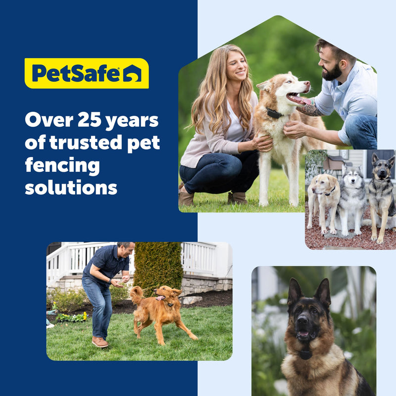 PetSafe Pawz Away Extra Receiver Collar - Waterproof Receiver Collar - Pet-Proofing System for Dogs & Cats - Additional Receiver Collar - System Sold Separately - PawsPlanet Australia