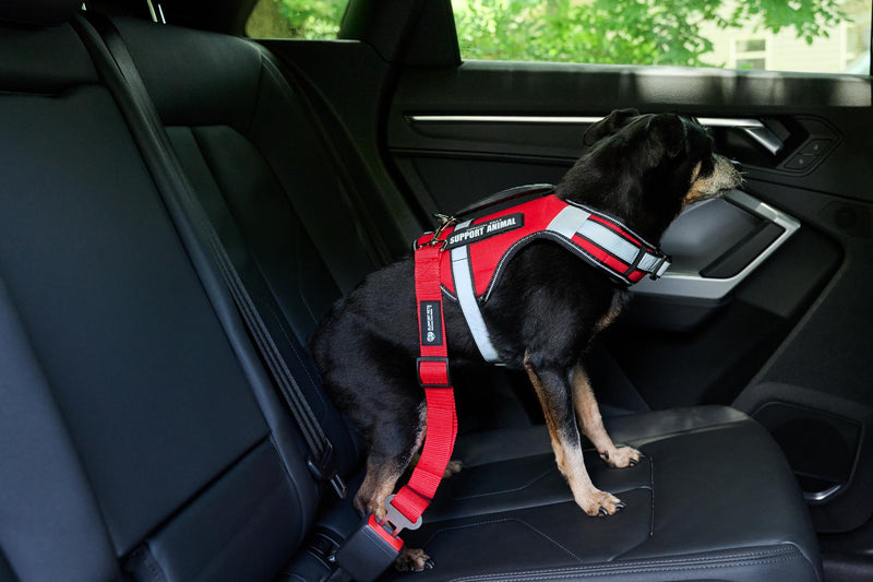 Support Pets Dog Seat Belt for Car – Adjustable Dog Safety Seatbelt Harness for Dogs & Puppies – Vehicle Seatbelt Clip for Secure Pet Travel – Durable Dog Accessories & Travel Restraint – Red 1 Pack - PawsPlanet Australia