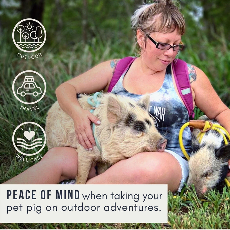 Pig Harness Leash-Fully Adjustable Pig Leash Harness for Small & Medium Pigs-Easy Step in Harness-Infinity Style Pet Pig Leash-Durable & Gentle Mini Pig Harness-Mini Pig Supplies (Small-Mauve Pink) Mauve Pink - PawsPlanet Australia