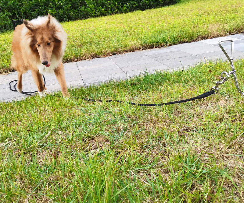Tie Out Rope Dog Leash, Long Tether 8-10-13-15-20-25-30-35-40-50-65 FT Heavy Duty Nylon Check Cord for Medium Large Dogs 20FT Indoor/Outdoor Playing Camping Backyard (Black, 3/8") 3/8" x 20ft black - PawsPlanet Australia