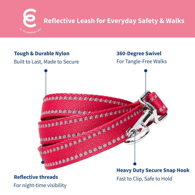Blueberry Pet Matching Reflective Harness and Leash Set | Adjustable Pastel Vest with Lead for Dogs – Great Value Gift Set | Adjustable Very Berry Vest for Small Breeds - PawsPlanet Australia