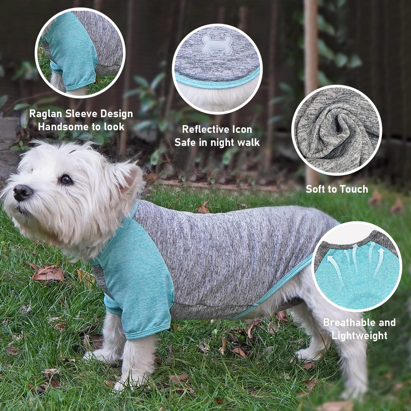 KYEESE 2 Pack Dog Shirt Raglan Sleeve Quick Dry Lightweight Stretchy Dog T-Shirts with Reflective Label Puppy Shirts for Small Dogs Sun Protection, Medium, Grey+Blue Medium (7-13lbs) 2# 2Pack(Grey+Lake Blue) - PawsPlanet Australia