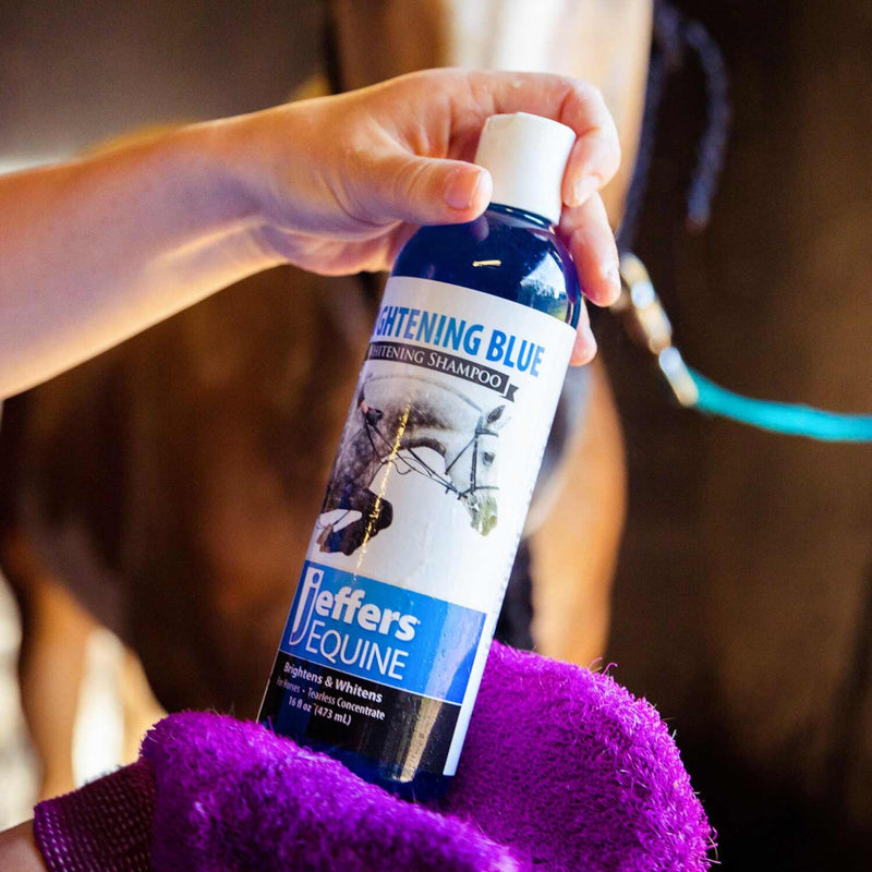 Jeffers Equine Brightening Blue Whitening Horse Shampoo, 16oz – Soap Free, Detergent Free Grooming Shampoo for Coat, Mane & Tail, Removes Tough Stains, Enhances Shine, Safe for White & Light Coats