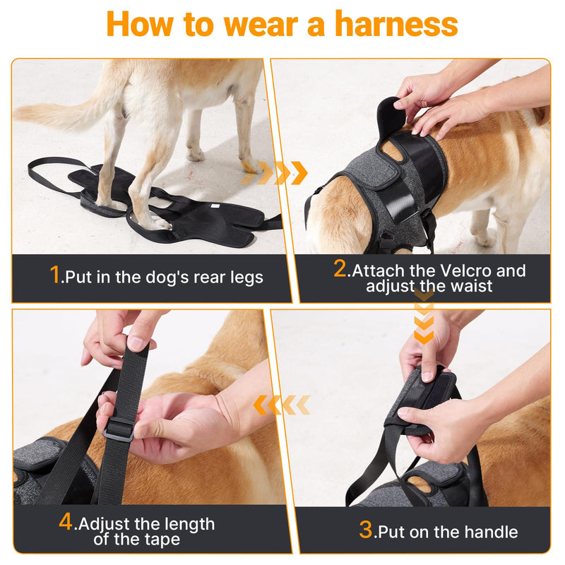 Dog Lifting Harness for Back Legs, Dog Support Harness, Adjustable Walking Aid, Hind Leg Brace for Injured, Elderly Dogs (Dark grey, M) Dark grey