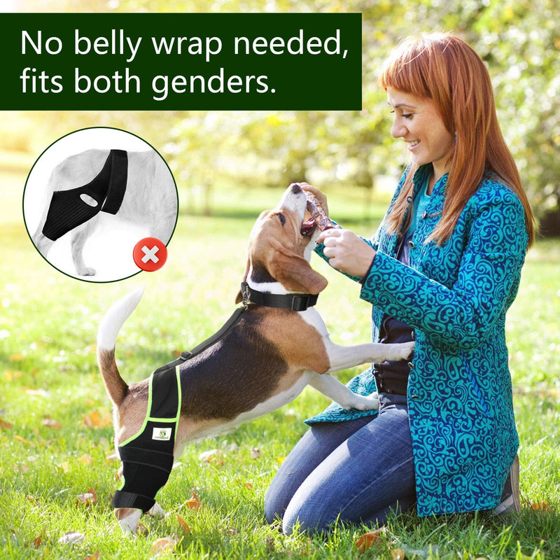 Dog Knee Brace for Hind Legs with Extra Collar & Strap - Relieves Joint Pain & Discomfort, Enhances Mobility | Supports Recovery from Osteoarthritis, Torn ACL/CCL, Luxating Patella | Adjustable (L) Large - PawsPlanet Australia