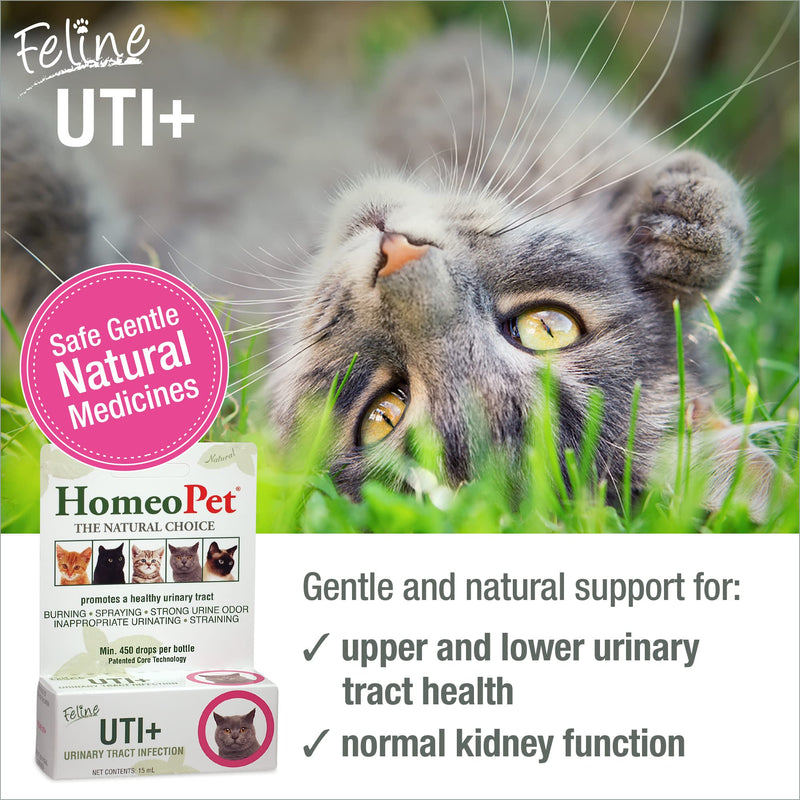HomeoPet Feline UTI Plus Urinary-Tract Relief, Urinary-Tract Support for Cats, 15 Milliliters - PawsPlanet Australia