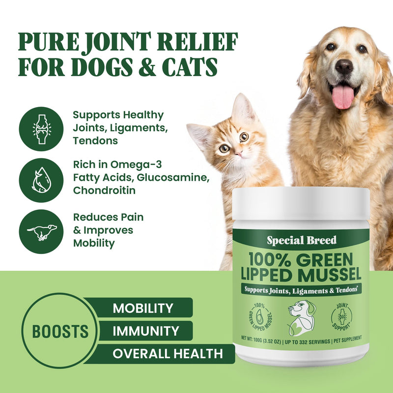 Special Breed Green Lipped Mussel Powder for Dogs & Cats - 100% New Zealand - Natural Hip & Joint Supplement for Joints, Tendons, Ligaments, Muscles - 100 Grams - Up to 332 Servings - PawsPlanet Australia