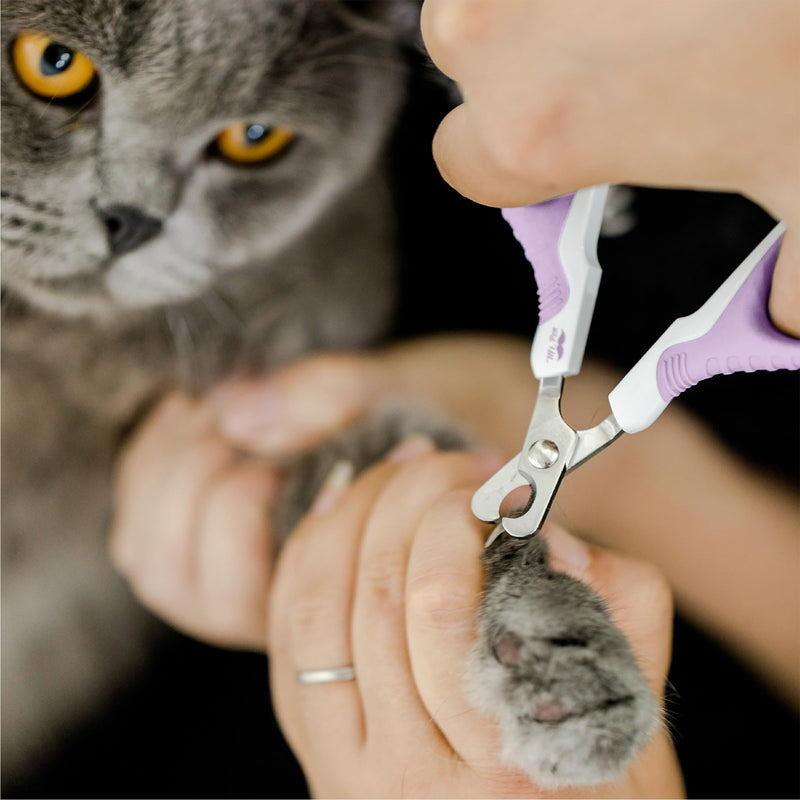 Mr. Pen Cat Nail Trimmer - Purple, Cat & Kitten Nail Clippers, Pet Claw Trimmer - PawsPlanet Australia