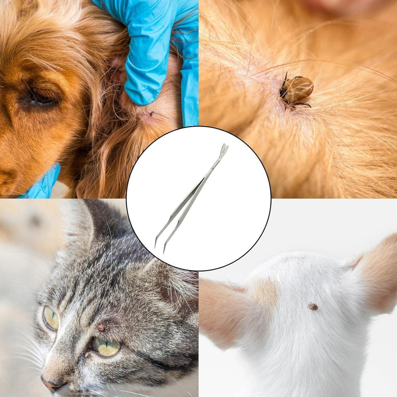 1Pc Silver 2 in 1 Tick Removal Tool for Pets,Stainless Steel Professional Tick Tweezers Ticks Remover for Dogs, Cats and Humans,Flea and Tick Control,Tick Remover Tools Flea and Tick Control - PawsPlanet Australia