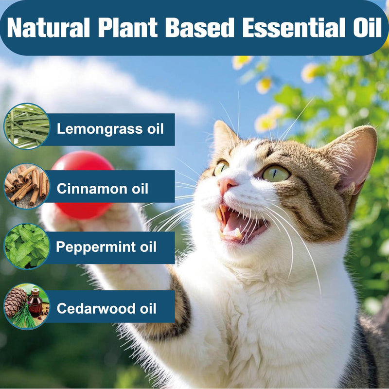 Flea Collar for Cats, Flea and Tick Collars for Kittens, Flea & Tick Treatment Prevention, Natural Essential Oil, 2 Pack, 16 Months Protection, One Size Fits All, Waterproof - PawsPlanet Australia
