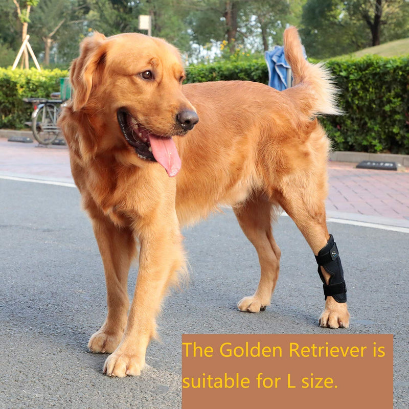 Coodeo Powerful Dog Canine Rear Leg Hock Joint Brace with Metal Spring Strips, Strengthen Support Dog Back Leg Compression Wrap, Help Dogs with Injuries, Sprains, Arthritis, Rheumatism Walk (M, Black) Medium - PawsPlanet Australia