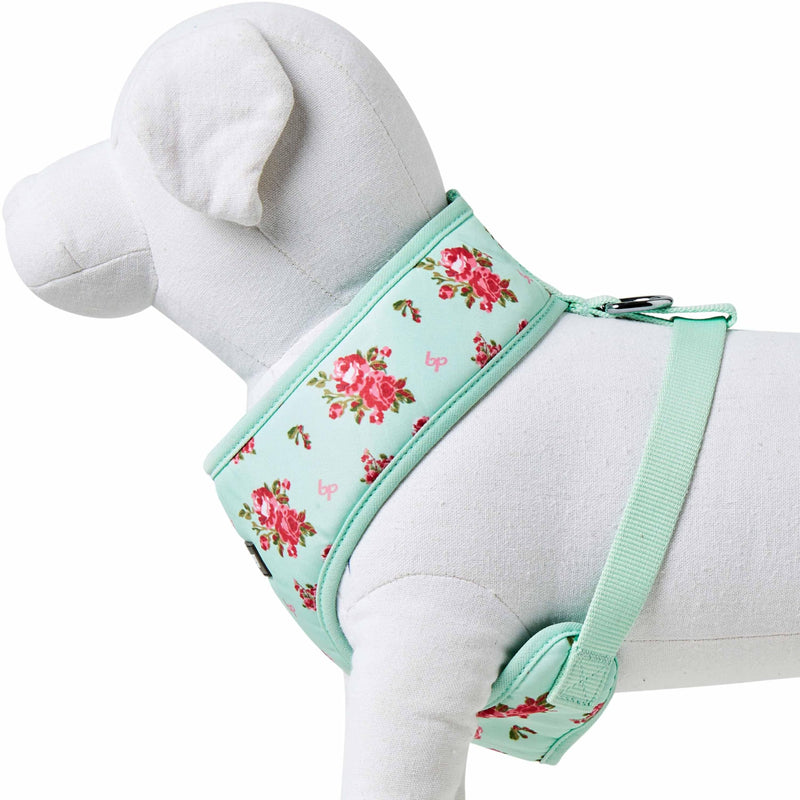 Blueberry Pet Floral Dog Vest Harness, Turquoise, X-Small | No Pull, Lightweight & Comfy Fit for Puppies and Small Breeds | Award-Winning Design for Girl Dogs - PawsPlanet Australia