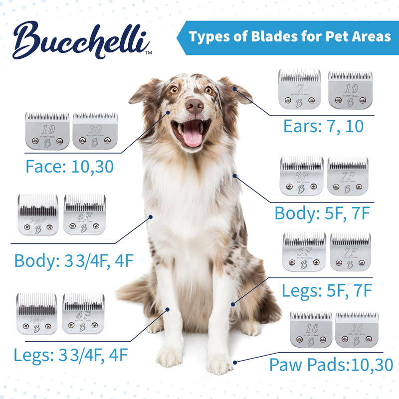 Detachable A Series 30 Blades for Dog Grooming Cuts 1/50" - 0.5mm Japanese High Carbon Steel Dog Clipper Blades & 30 Blade Dog Grooming (Compatible A5 Series Clippers for Dogs Cat (B30) 30 (1/50" - 0.5mm) - PawsPlanet Australia