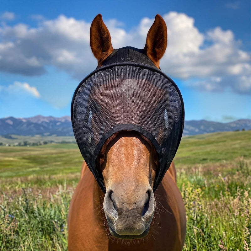 Horse Fly Mask for Adult Horse UV Eye Protection to 99% for Horses with Uveitis, Photosensitivity, Ulcer, Head Shaking