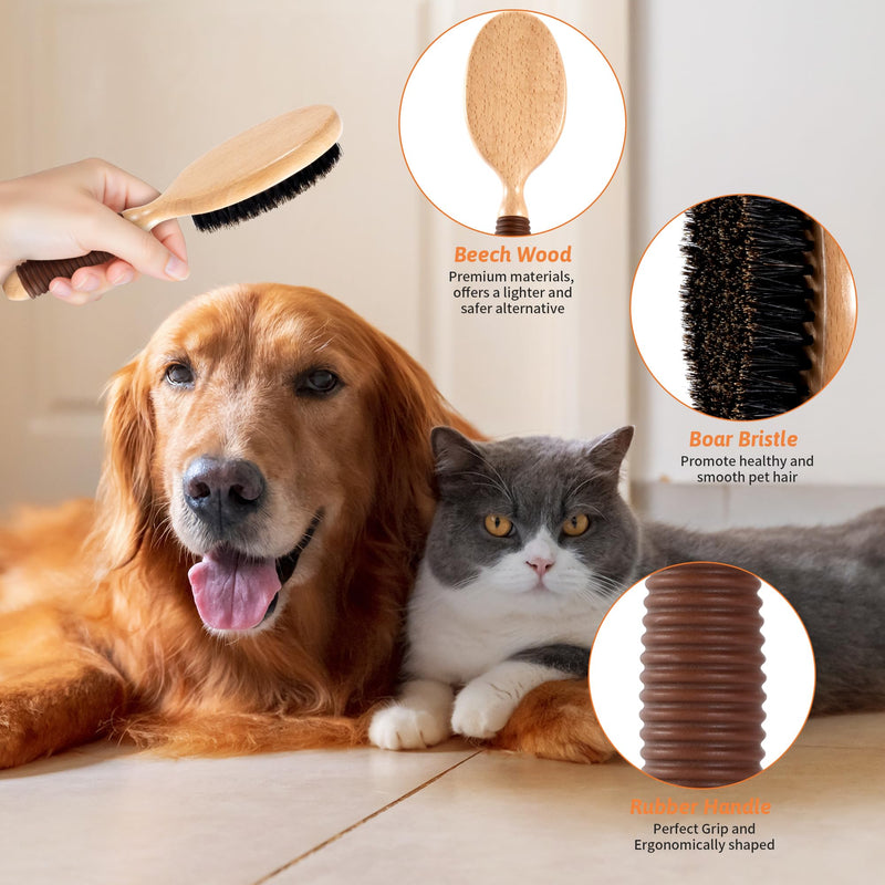 Boar Bristle Pet Brush for Short Haired Dogs and Cats, Dog Cast Hair Brush for Shedding with Beech Wood Handle and Non-Slip Rubber Boar Bristle for Short Haired - PawsPlanet Australia